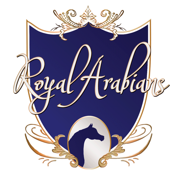 Royal Arabians