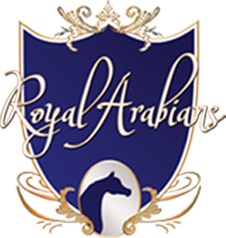 Royal Arabians