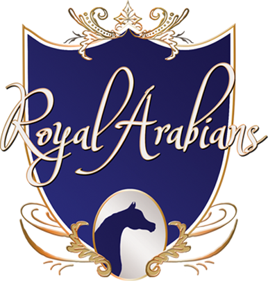 Royal Arabians